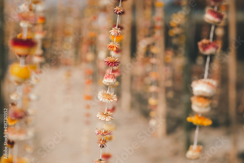 dried paper flower mobiles hanging in garden © hui_u
