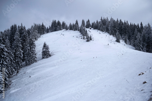 Winter landscape between Azuga and Grecul peak towards Gura Diham chalet. Road marked with a yellow triangle. Romania.
