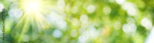 Abstract natural image, sun rays, green blurred background. Horizontal image bright sun on blurred natural background.