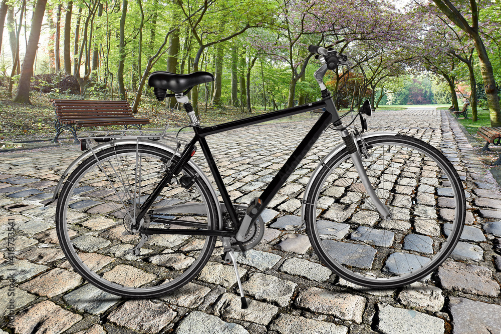 Fototapeta premium Black road bike standing on paved road from public park