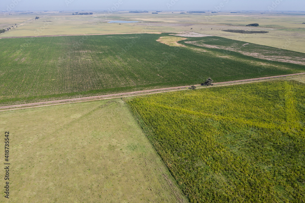 Cultivated fields in the Pampas region, Argentina. Cultivated fields in the Pampas region, Argentina.