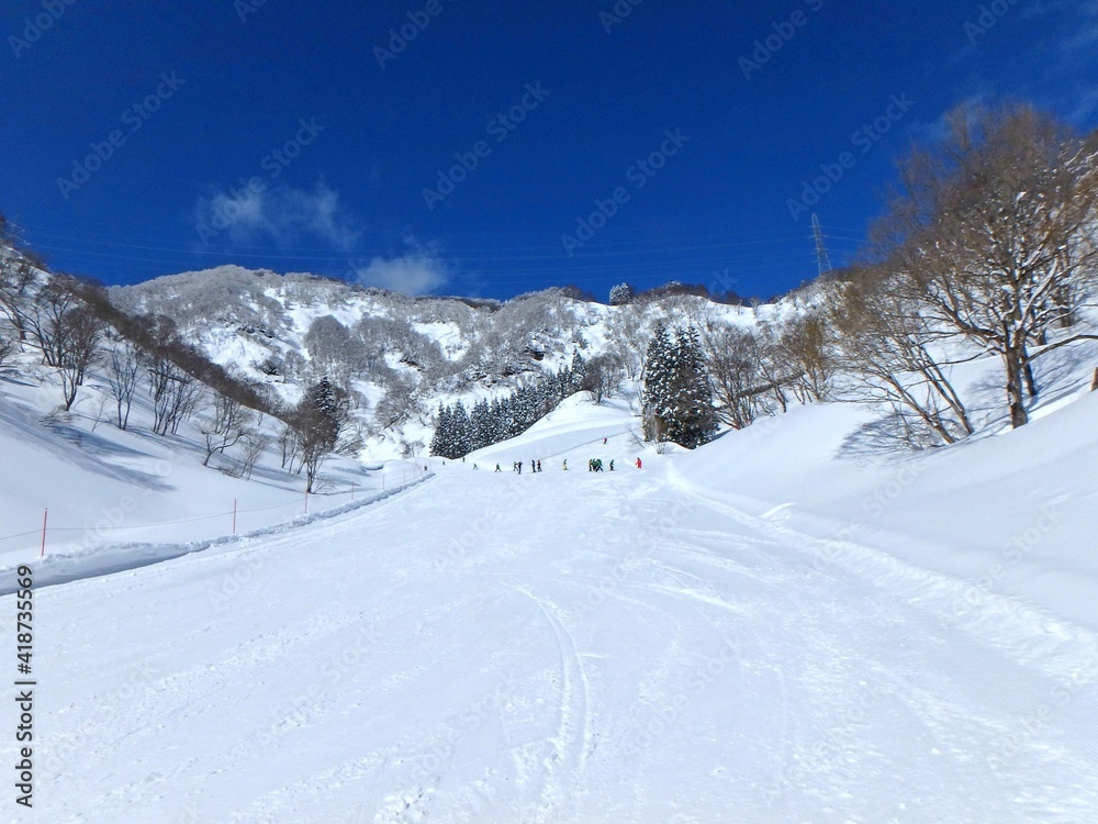 快晴のスキー場、最高のコンデションのゲレンデ、雪山です。