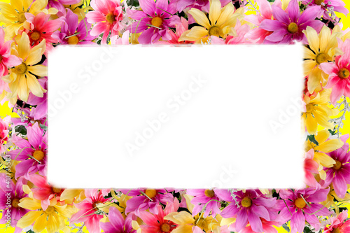 Fototapeta Naklejka Na Ścianę i Meble -  trendy colorful spring flower border with room for text