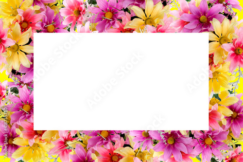 trendy colorful spring flower border with room for text