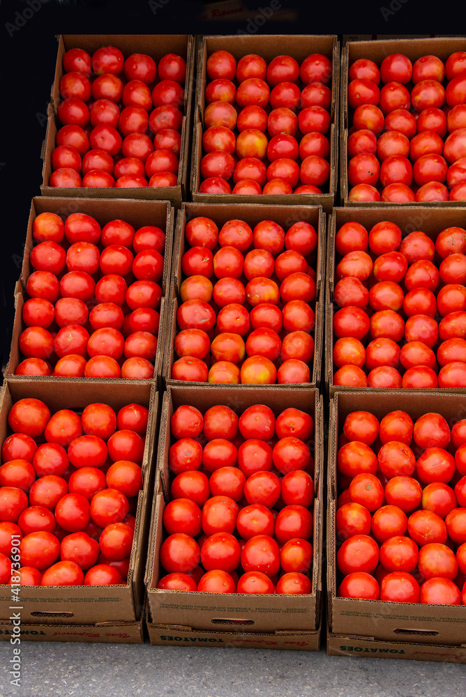 Nine boxes of symmetrically arranged tomatoes stacked for sale Nine boxes of symmetrically arranged tomatoes stacked for sale