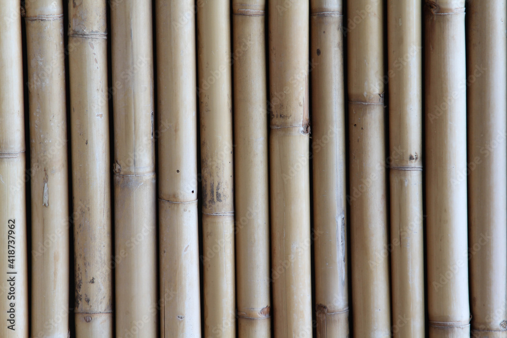 Fototapeta premium The old bamboo fence texture background.