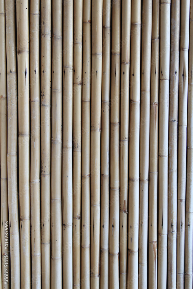 Fototapeta premium The old bamboo fence texture background.
