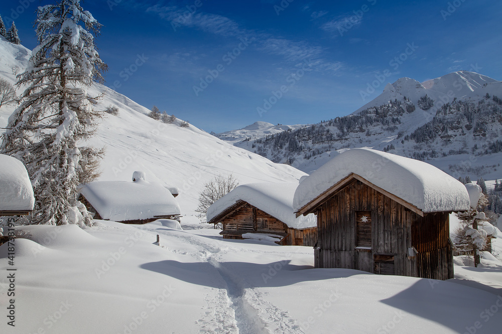 Payage de montagne