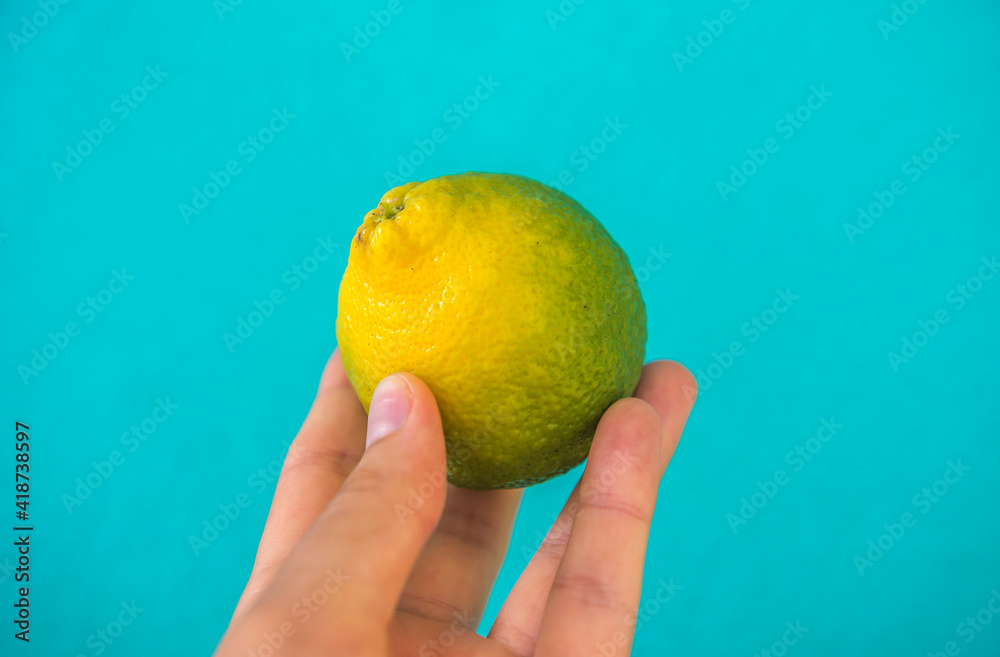 Fresh green eco Lime fruits with green leaf on blue background. Fresh green eco Lime fruits with green leaf on blue background.