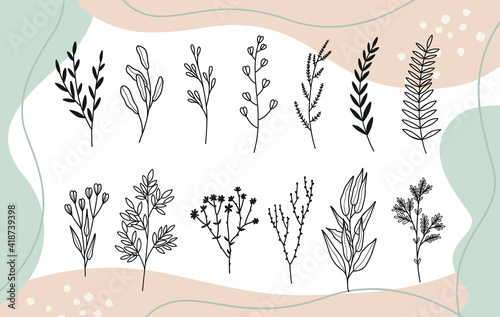 Set trendy hand drawn minimalistic floral botanical elements.Icon with branch and leaves. Boho floral for logo design. Perfect for wedding invitations, cards, blogs.Abstract modern trendy vector 