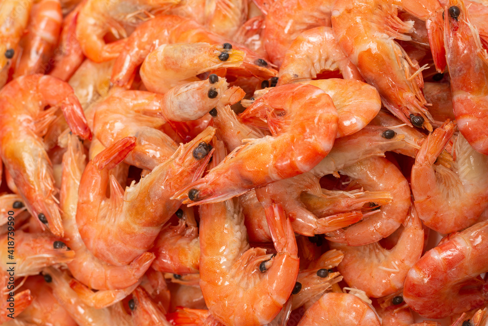 Shrimps background texture. A lot of shrimps. Cooked shrimps. Shrimps background texture. A lot of shrimps. Cooked shrimps.