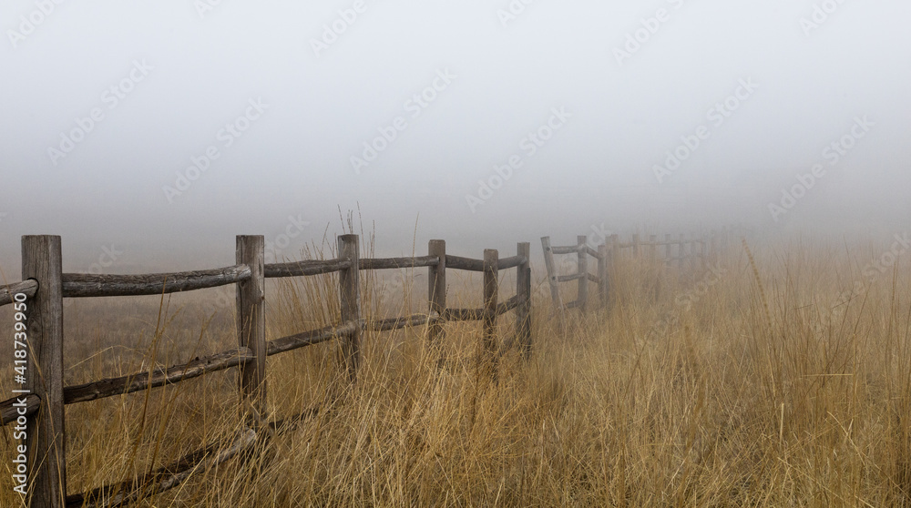 vanishing point