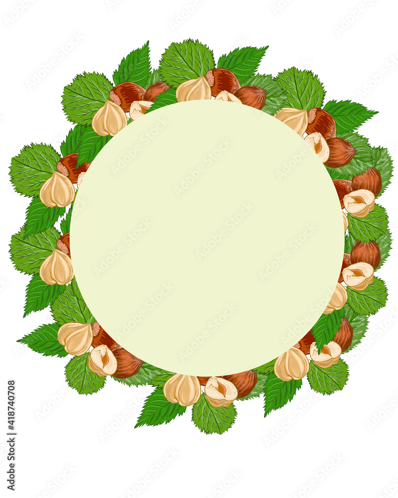 Hazelnuts. Hand drawn  illustration. Healthy food natural products vitamins. Sketch print textile  patern set