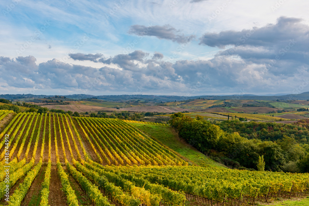 Fototapeta premium Chianti vineyards in autumn