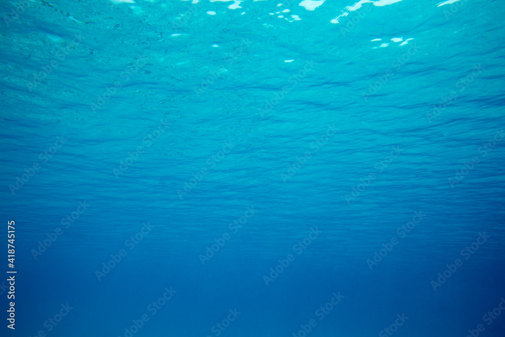Tranquil underwater scene with copy space Tranquil underwater scene with copy space