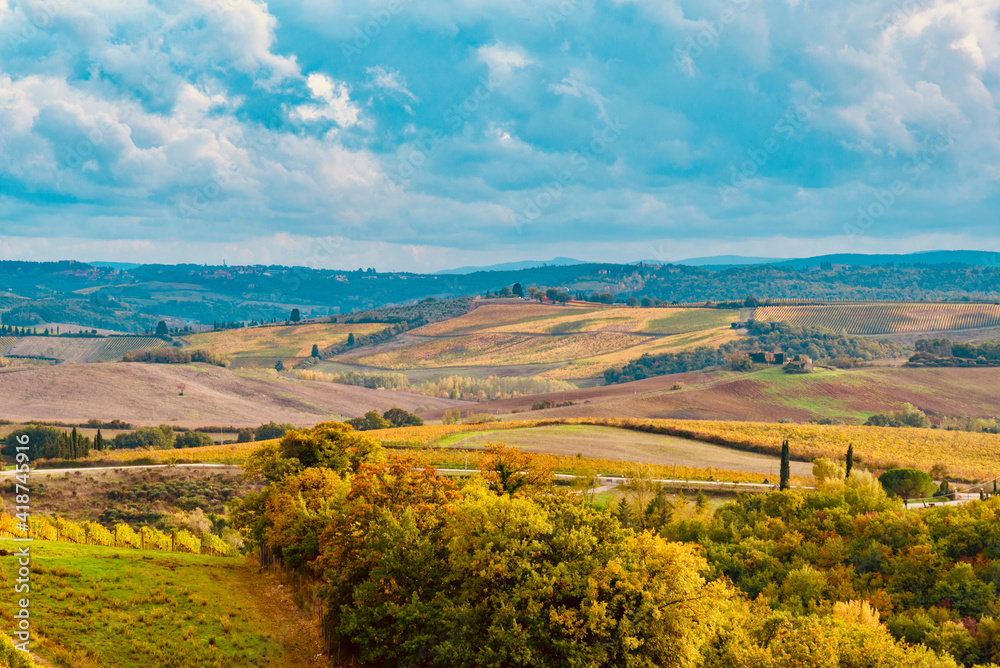 Chianti vineyards in autumn