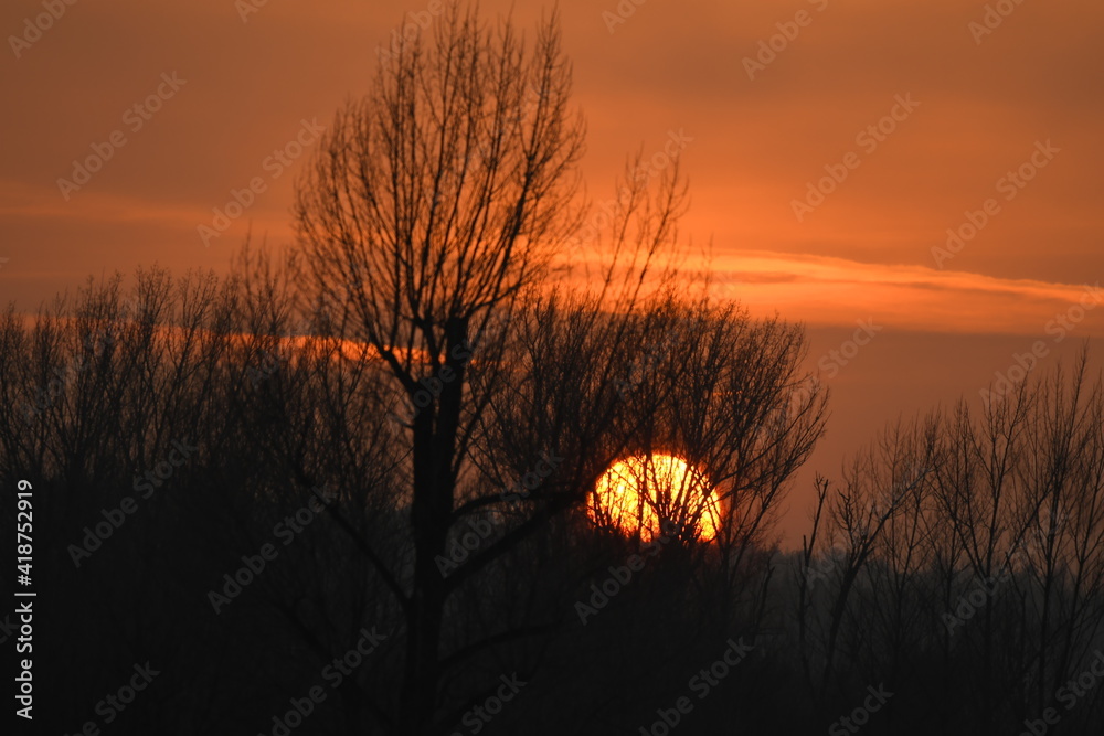 Beauty sunset over forest with orange sky and sun behind the trees