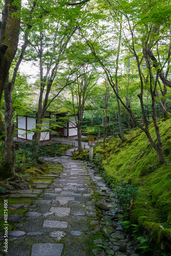 常寂光寺の境内