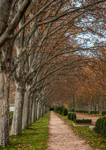 path in autumn park
