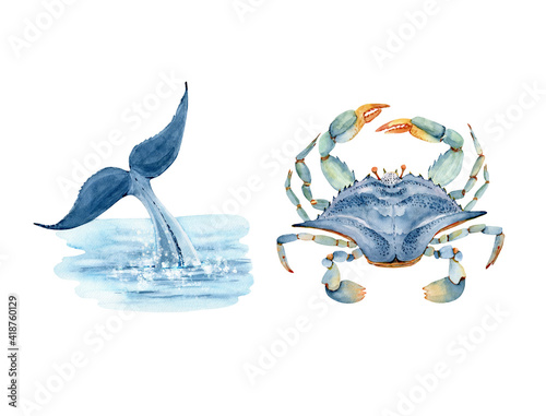Photography set of watercolor illustrations in marine style whale tail in the sea and blue crab