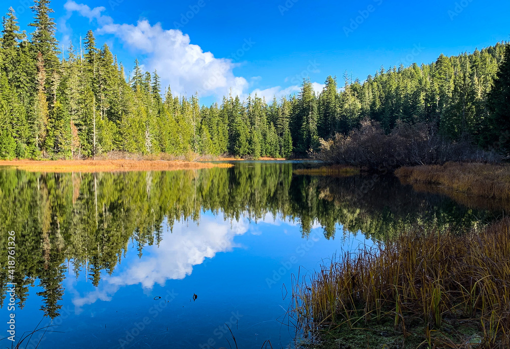 Obraz premium trees and clouds reflected in mountain lake