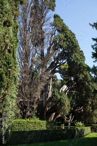 Willa Hadriana ogrody w Tivoli Włochy