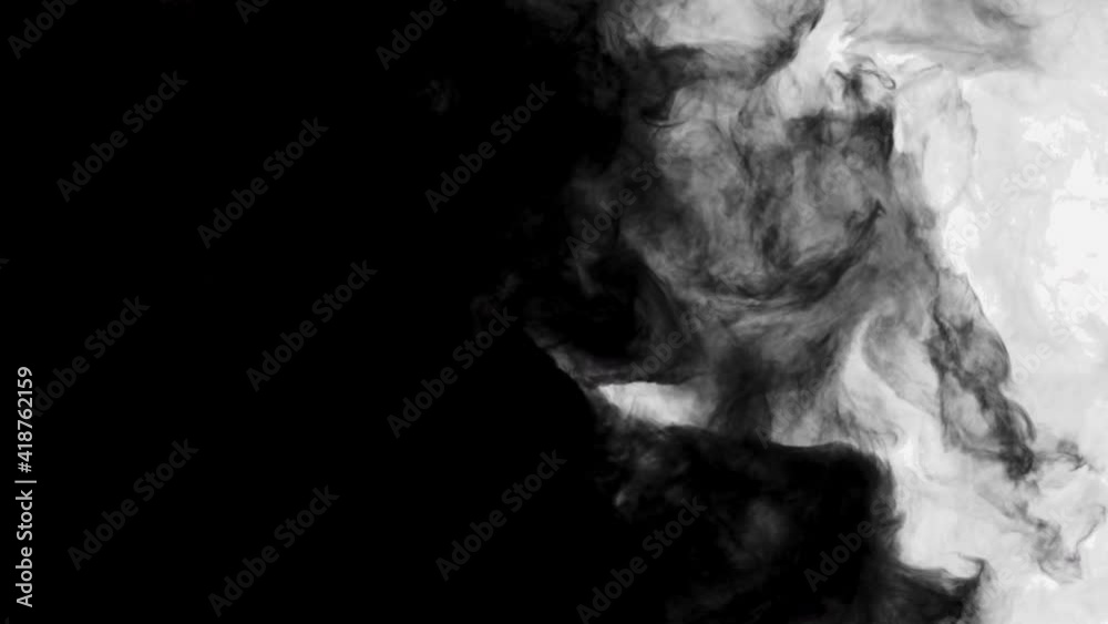 Smoke,Vapor,Fog - slow motion realistic smoke. Cloud for using in composition. Transition from white to black