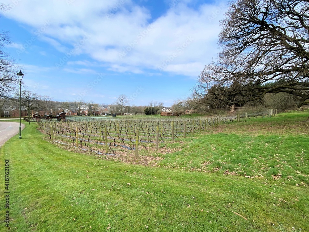 Fototapeta premium A view of the Cheshire Countryside at Carden