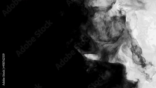 Smoke,Vapor,Fog - slow motion realistic smoke. Cloud for using in composition. Transition from white to black
