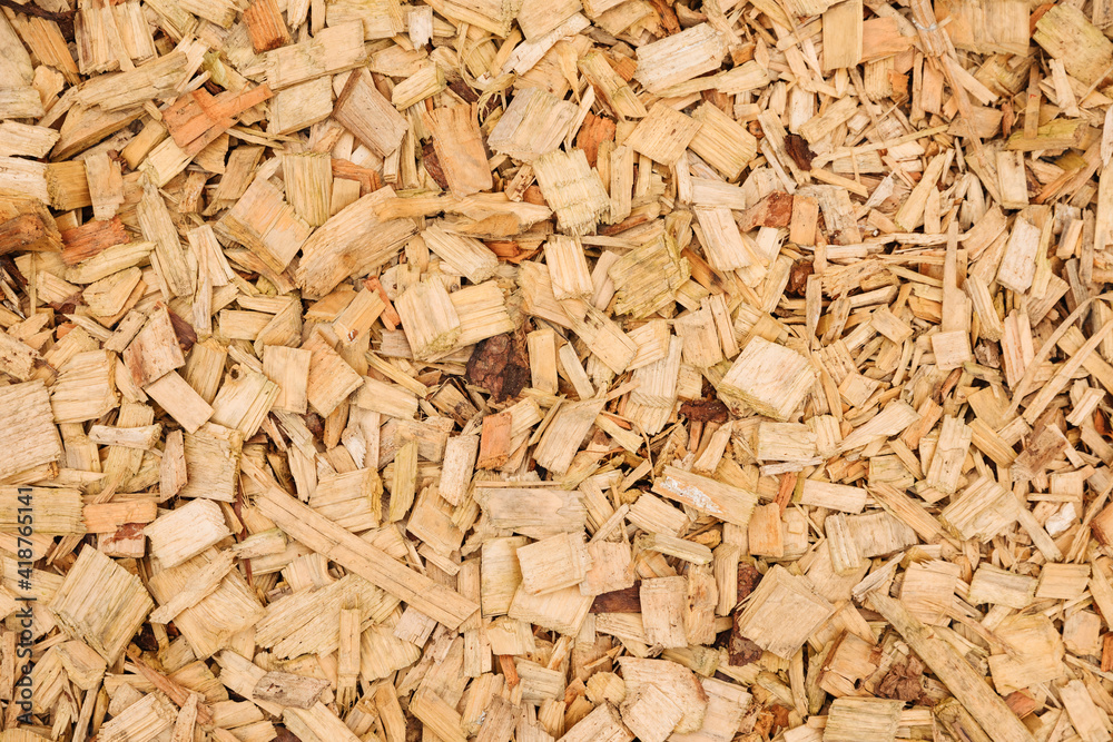 Terrace with bark mulch. Wood background. Small many wooden parts. Small bark mulch Terrace with bark mulch. Wood background. Small many wooden parts. Small bark mulch