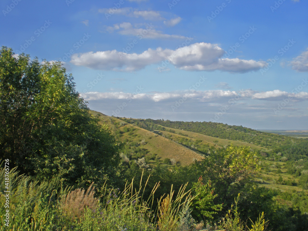 Landscape on a summer sunny day