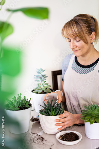 Woman gardener take care of plants in white ceramic pots on the white table. Concept of home garden. Spring time. Taking care of home plants.