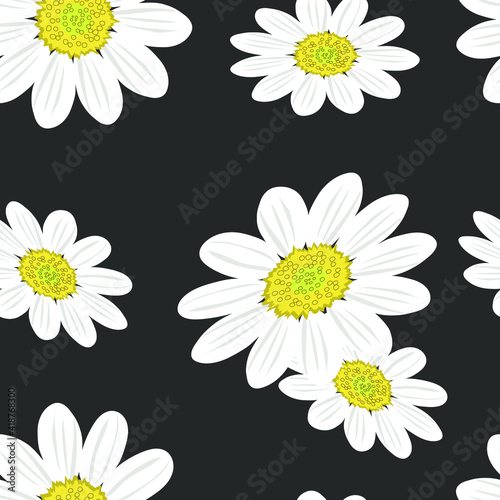Seamless pattern with large floral daisies on a dark gray background. For printing on fabrics  textiles  paper  interior design. Vector graphics.