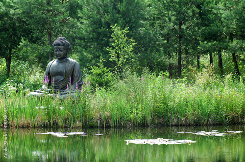 Buddha statue in grass front of a lake