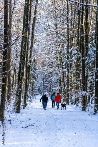 Winterwanderung an den Osterseen nähe Iffeldorf - Gruppe von Leuten mit Hund im Wald