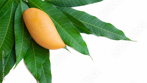 A golden yellow ripe mango ...