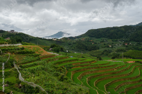Vietnam rice terrace © AnaMara