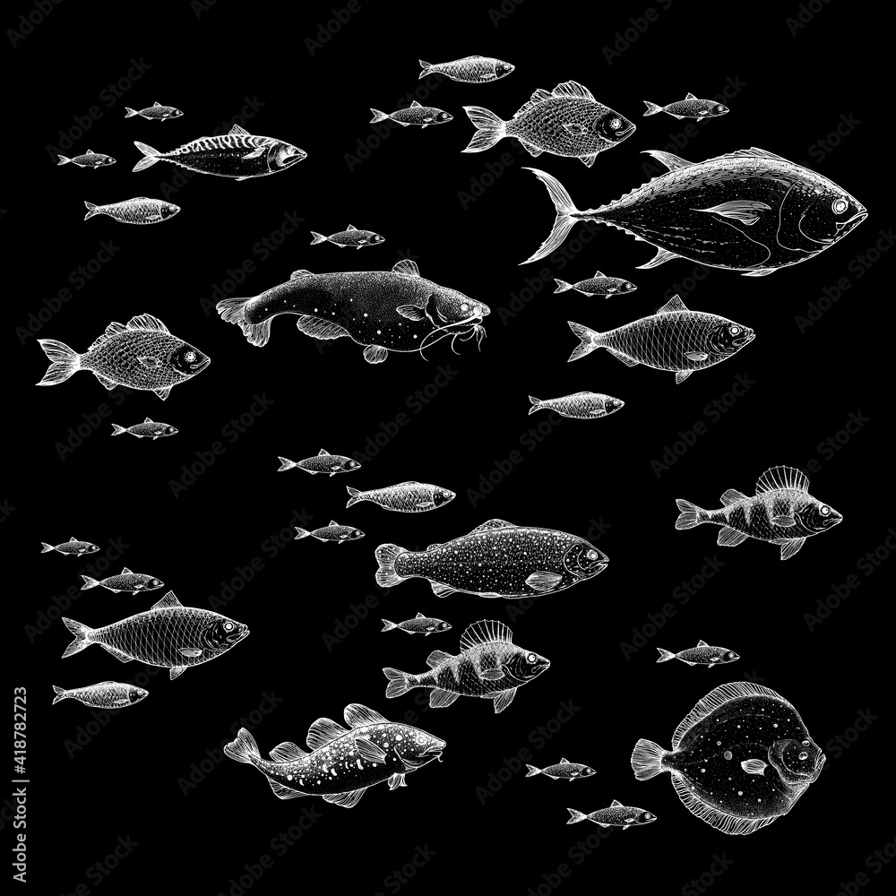Fish Sketch Collection Hand Drawn Vector Illustration School Of Fish 