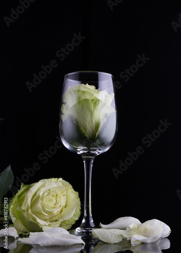 a green rose in a wine glass and a green rose next to the petals near the glass. Black background.