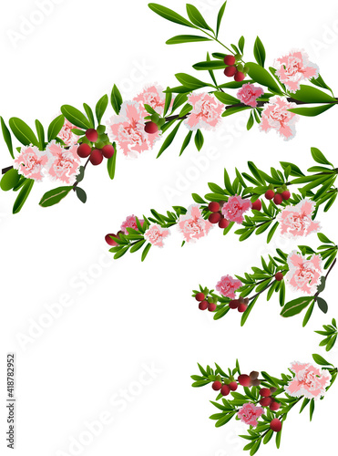 Wallpaper Mural spring azalea blossoming branches isolated on white Torontodigital.ca