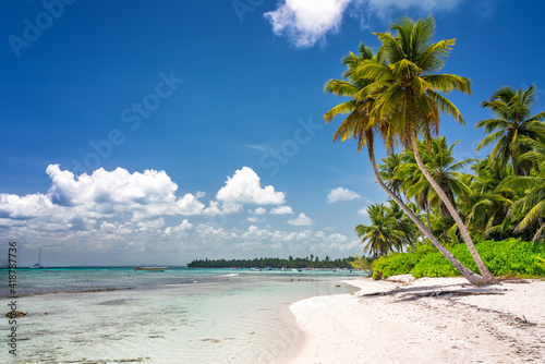 Palm trees on beautiful tropical sunny beach in Dominican republic