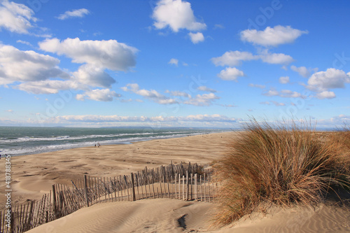 Natural and wild beach with a beautiful and vast area of dunes, Camargue region in the South of Montpellier, France photo