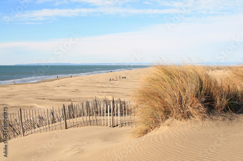 Natural and wild beach with a beautiful and vast area of dunes  Camargue region in the South of Montpellier  France