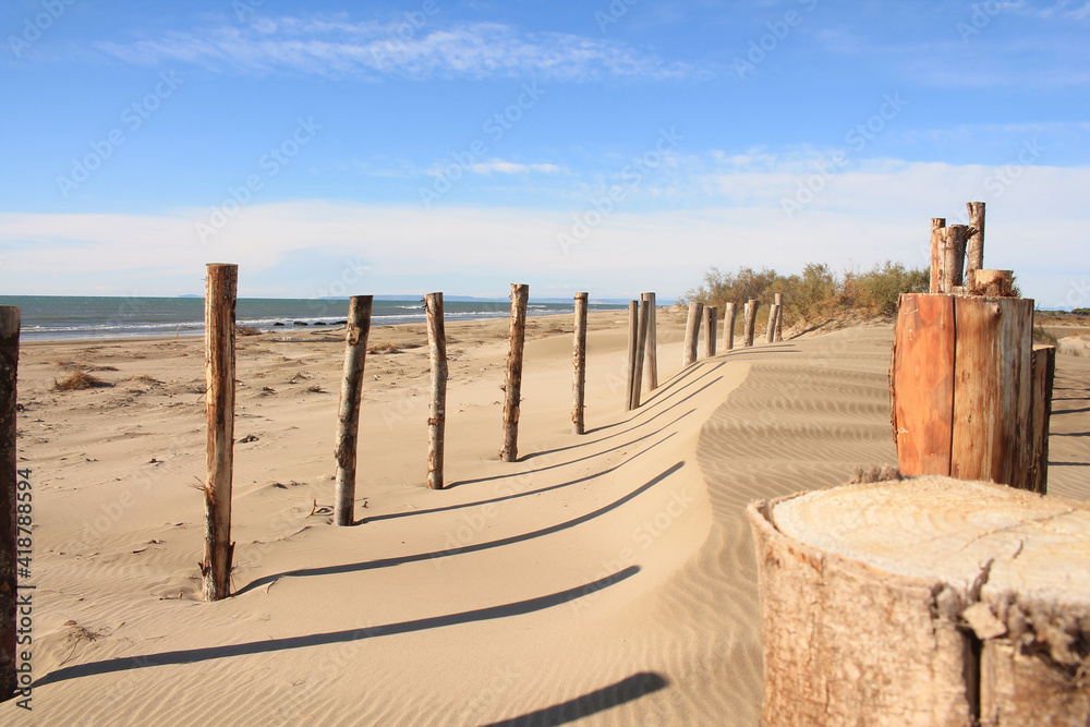 Natural and wild beach with a beautiful and vast area of dunes, Camargue region in the South of Montpellier, France Natural and wild beach with a beautiful and vast area of dunes, Camargue region in the South of Montpellier, France