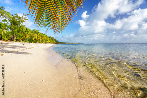 Fototapeta Naklejka Na Ścianę i Meble -  Palm tree leaf over ocean water on tropical beach in Dominican republic