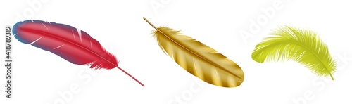 Set of realistic colorful feathers from bird wings. 3d pink and golden plumes on white background