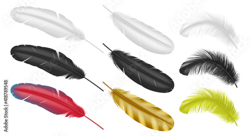 Realistic feathers: goose, hen or swan plumage in 3d style white black and colorful