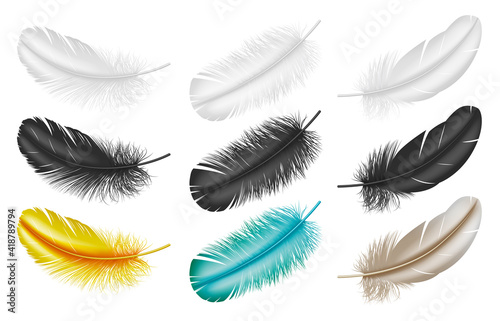 Realistic feathers: white, black and colorful 3d plumes from bird wings isolated on white background