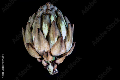 Photography artichoke on a wooden table, sverige, nacka, sweden, stockholm