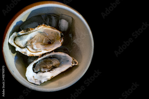 Photography oysters on a plate, sverige, nacka, sweden, stockholm